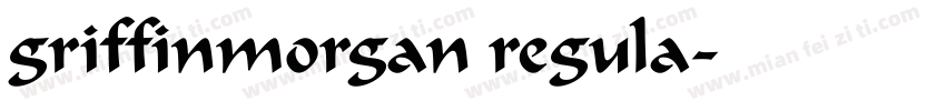 griffinmorgan regula字体转换
